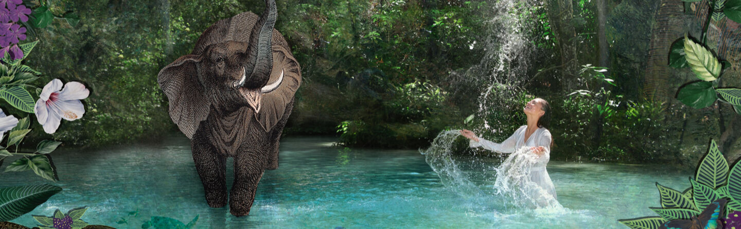 ส่วนบนสุดของเว็บไซต์